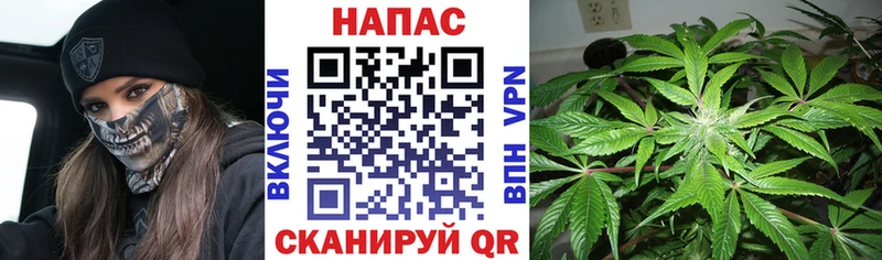 как найти   Усть-Катав  Канабис SATIVA & INDICA 